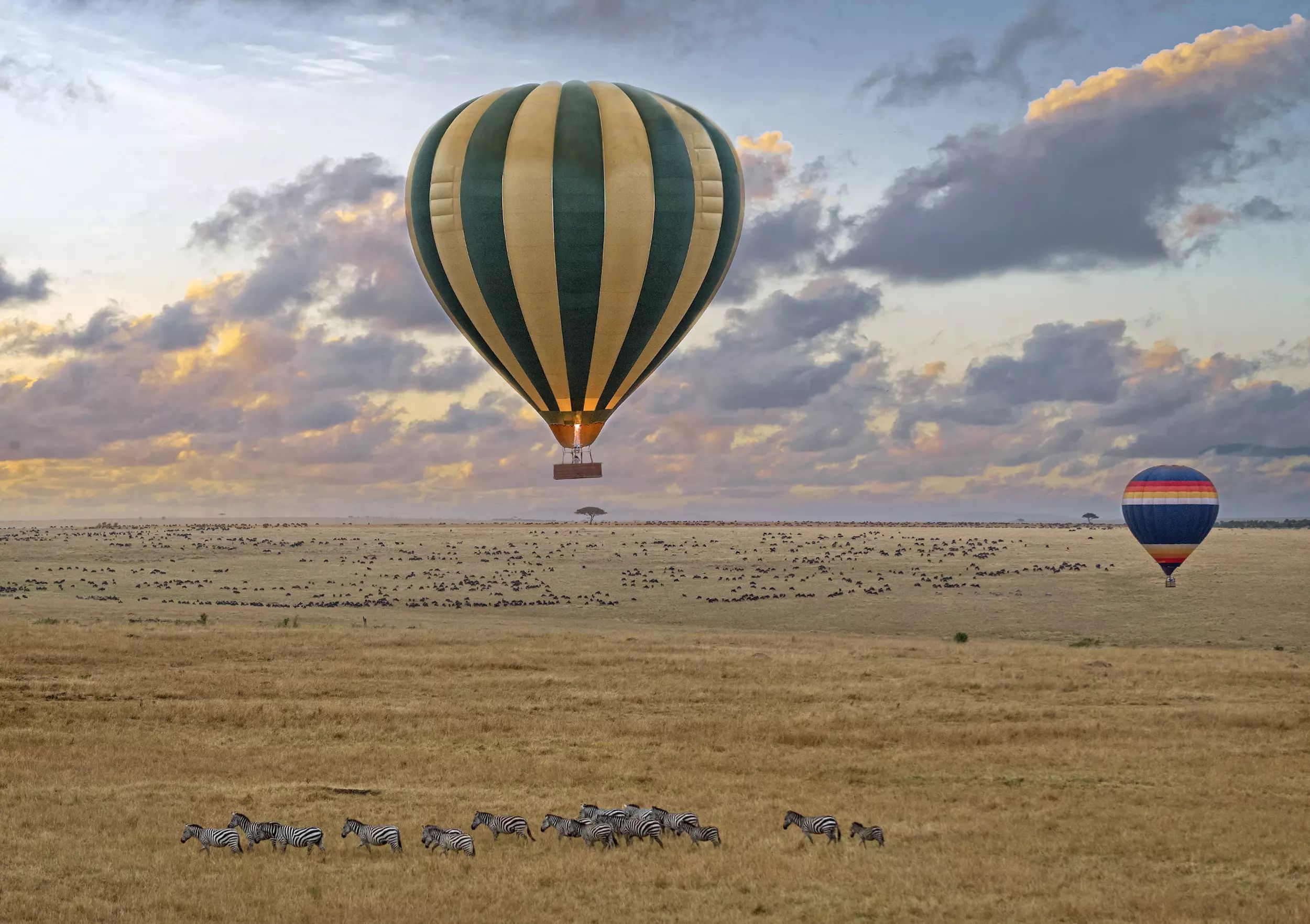 8-safari-tanzania