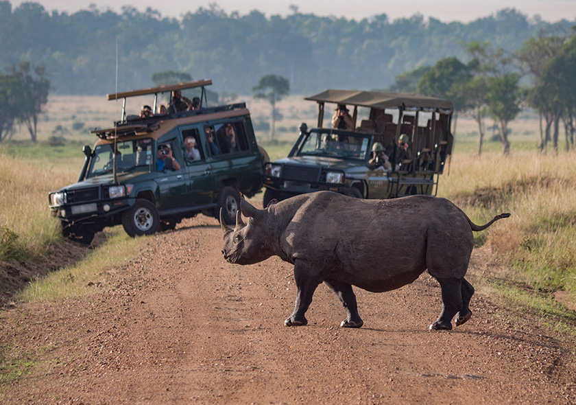 safaris2