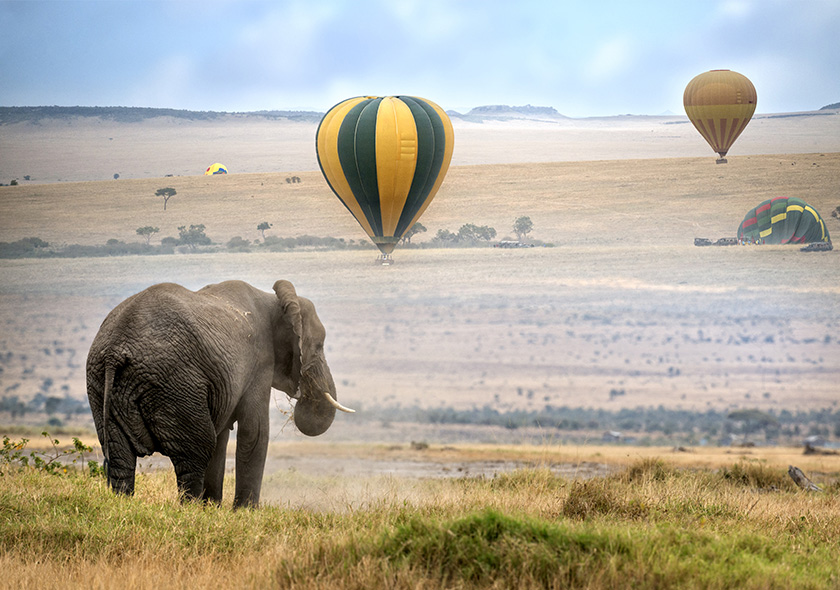 safaris7