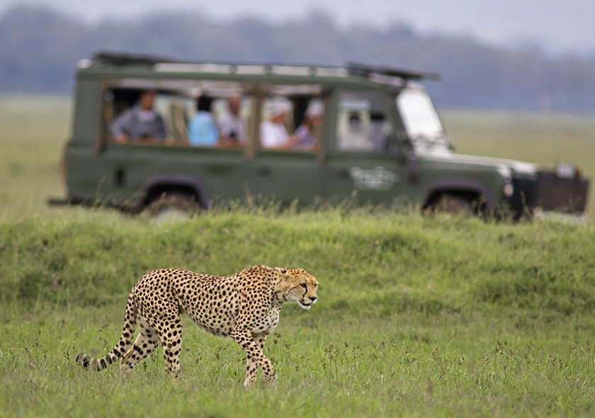 safaris9