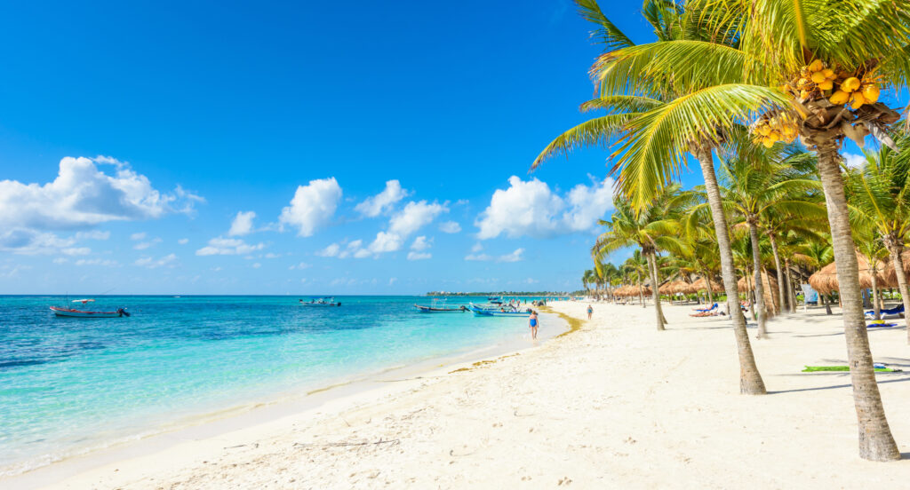Akumal beach - paradise bay  Beach in Quintana Roo, Mexico - caribbean coast